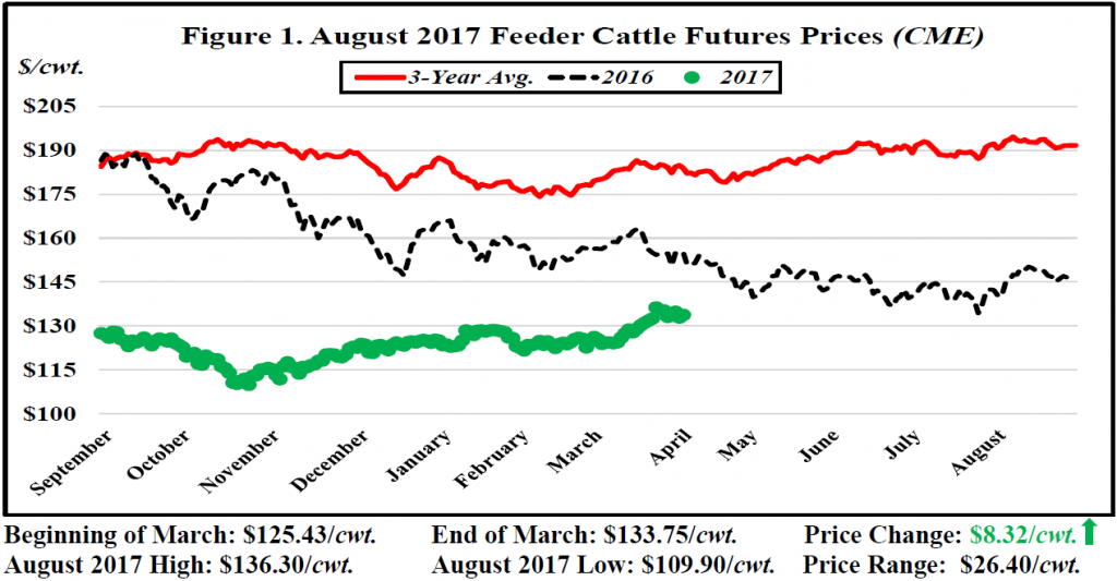 March Cattle Market Price Watch | Panhandle Agriculture