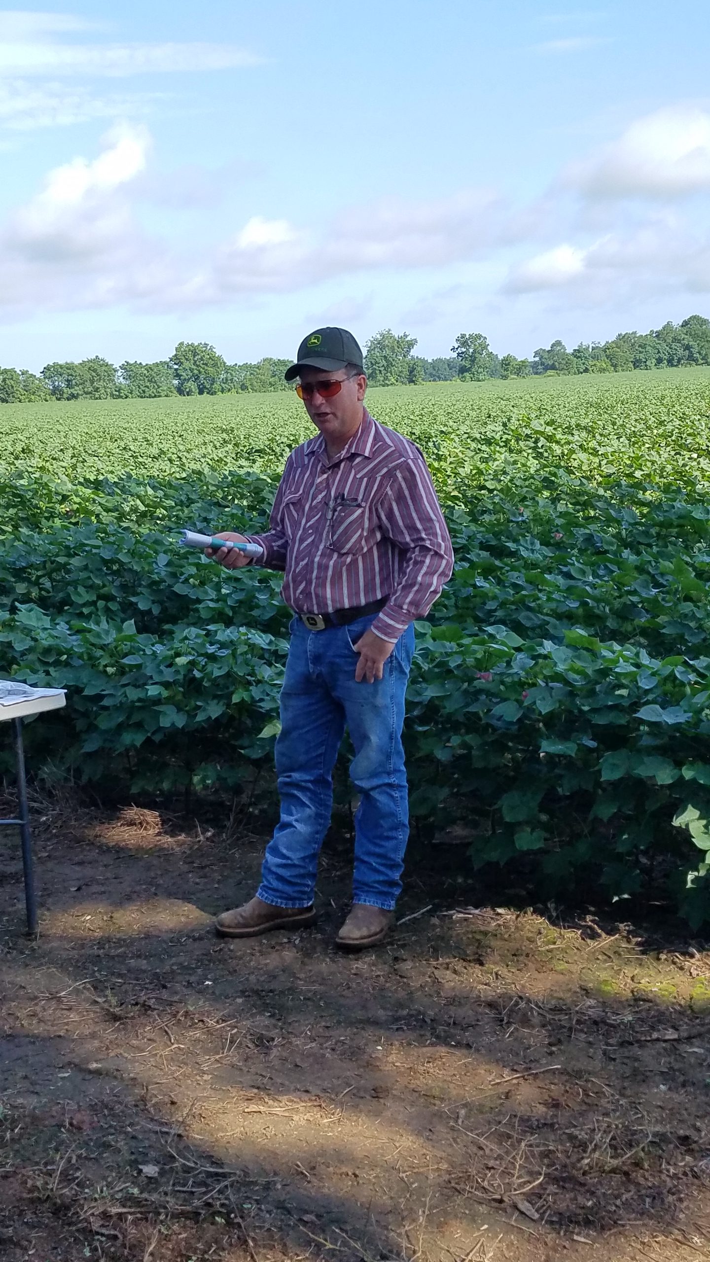 Managing Cover Crops Profitably 