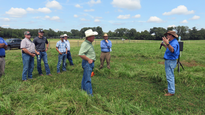 Highlights & Proceedings from the UF/IFAS Beef & Forage Field Day ...