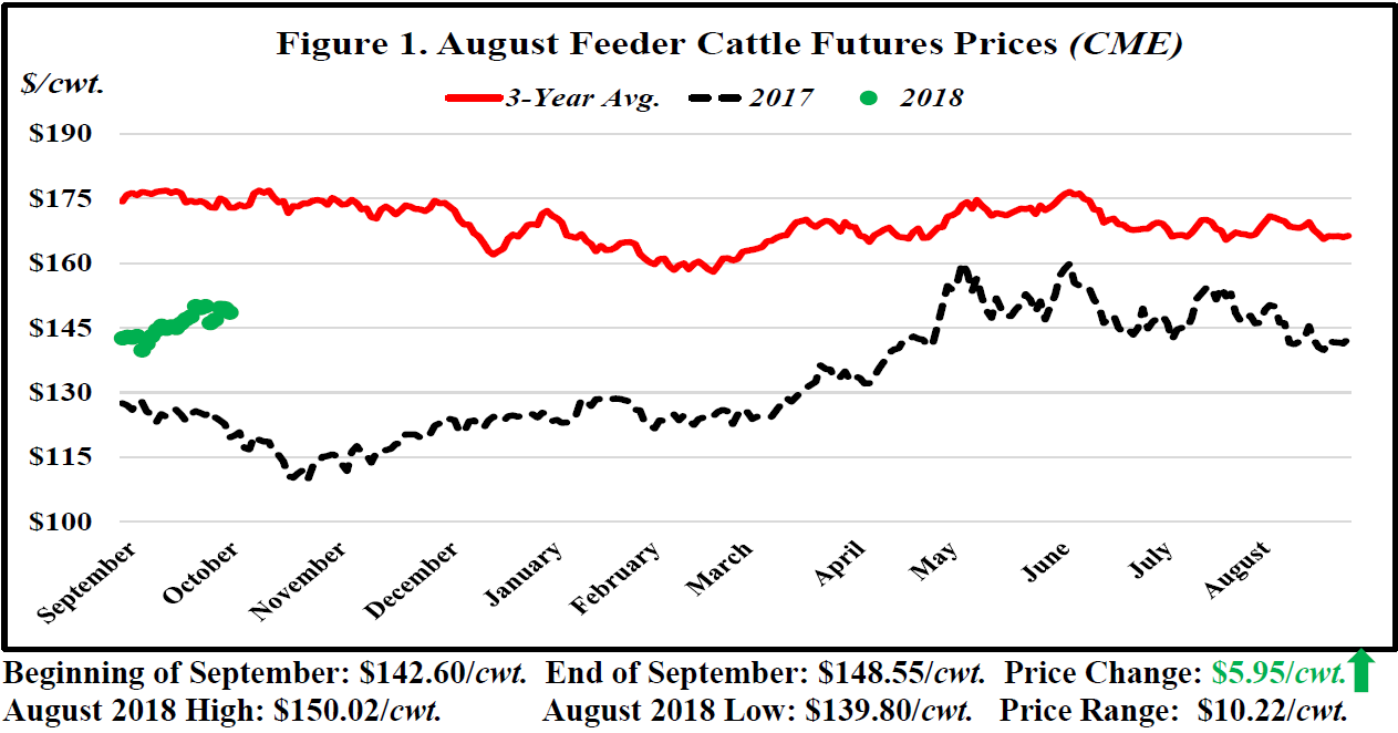September Florida Cattle Market Price Watch