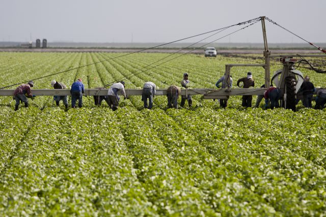 Update – What to Know About the New Temporary Ag Worker Bill?