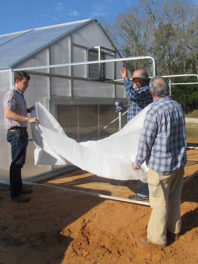 Managing Greenhouse Insect Pests through Exclusion Techniques