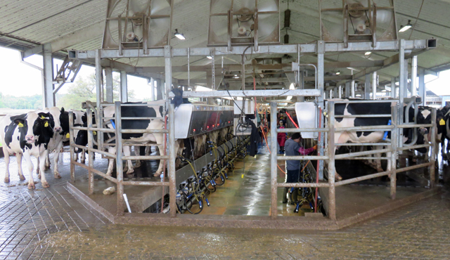 Friday Feature:  Shenandoah Dairy Video Farm Tour