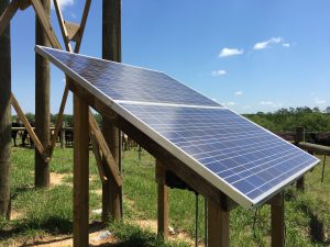 Using Solar Energy to Pump Water for Livestock | Panhandle Agriculture