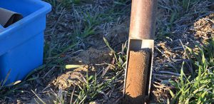 USDA Researching New Test to Determine Nitrogen Levels in Soil ...