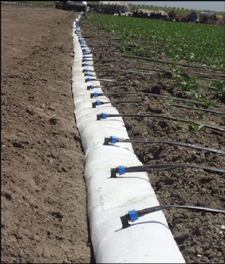 Friday Feature:  Flexnet Drip Irrigation System