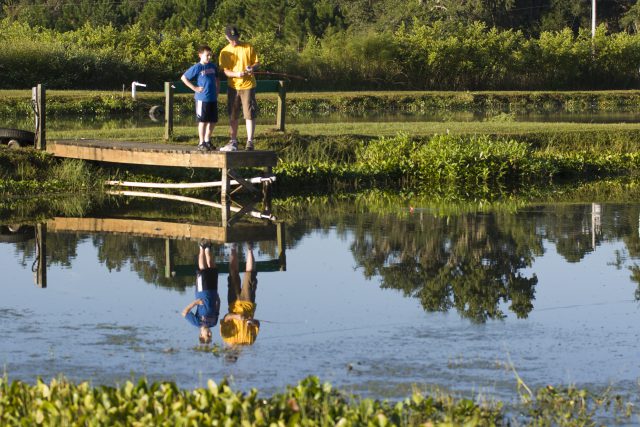 A father and his son fishing in a pond. Fishing, outdoor recreation. June 2010 IFAS Extension Calendar Image. UF/IFAS Photo by Tyler Jones.