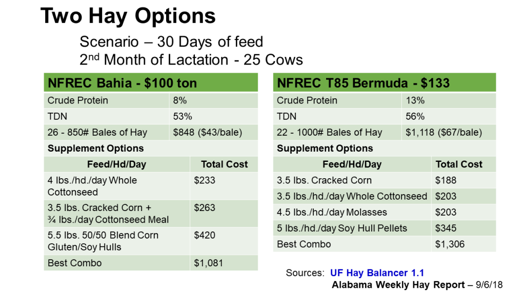 Precision Feeding After a Challenging Hay Season Panhandle Agriculture