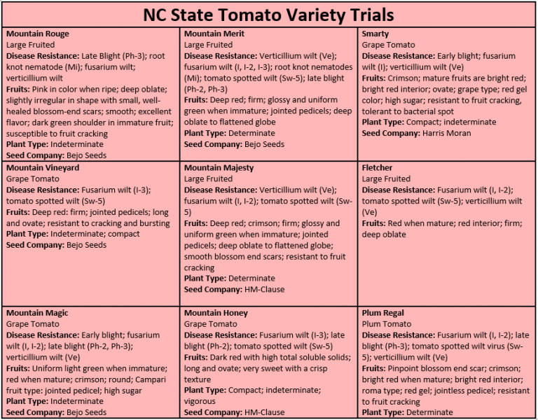 New North Carolina Tomato Varieties Offer Disease Resistance and Better ...