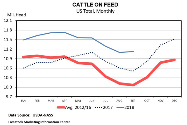 BIG Cattle on Feed Inventory and Cattle Market Keys Moving Forward