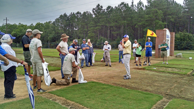 Southern Scientists are Collaborating to Develop Drought Resistant Turfgrasses