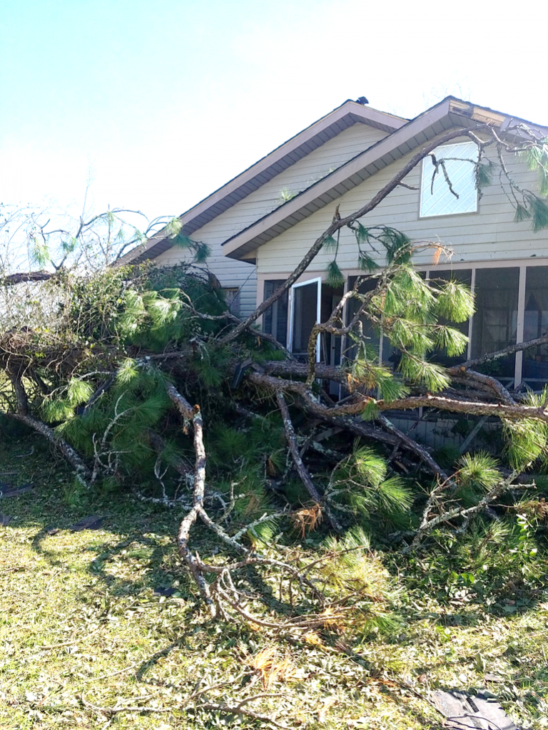 Hurricane Michael, tree fall damage to home