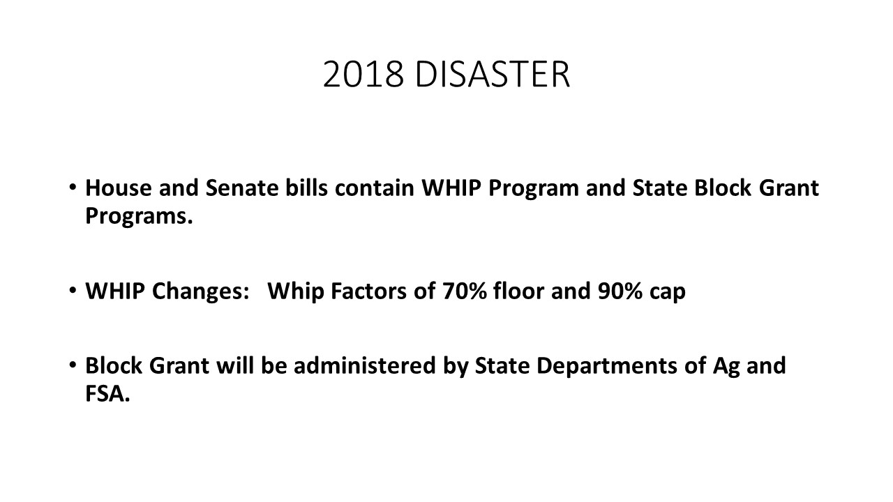 Example slide summarizing disaster bills
