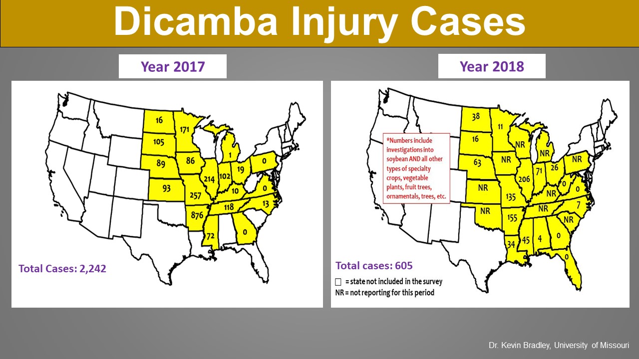 Slide showing the difference in dicamaba injury cases between 2017 and 2018.