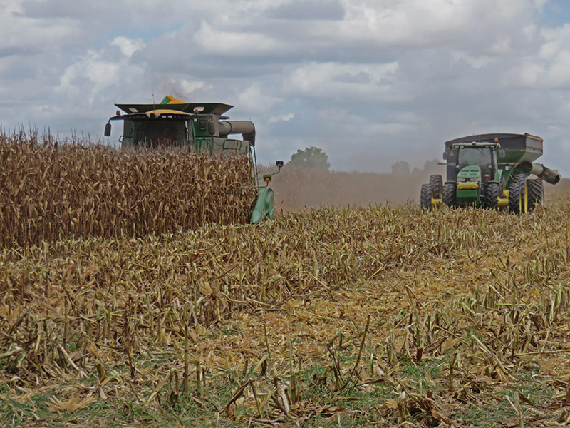 Friday Feature:  National Corn Yield Contest