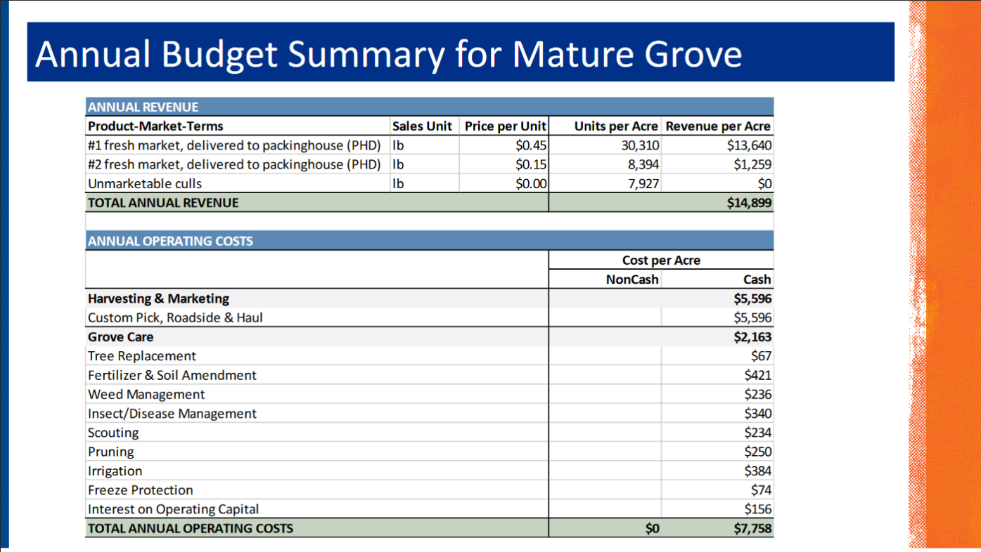 Annual Satsuma Budget for mature Grove