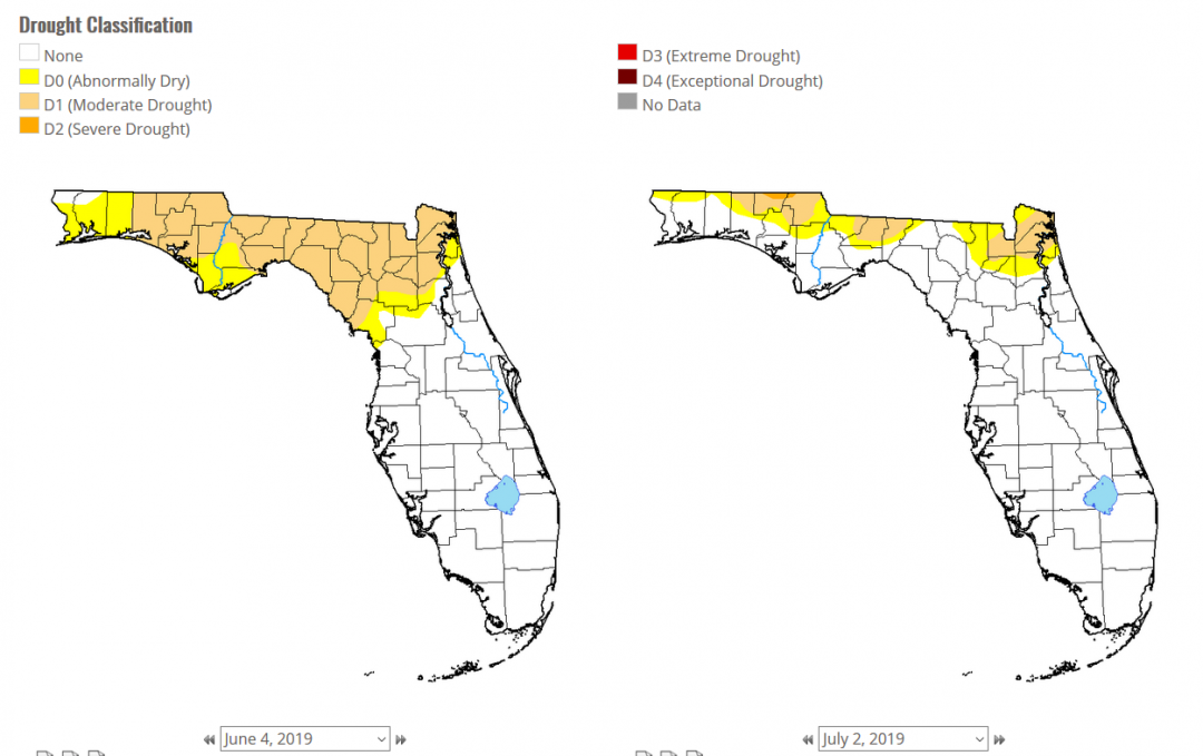 June 2019 Weather Summary & July Outlook | Panhandle Agriculture