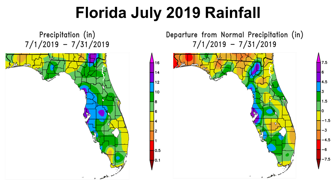July 2019 Florida Rainfall