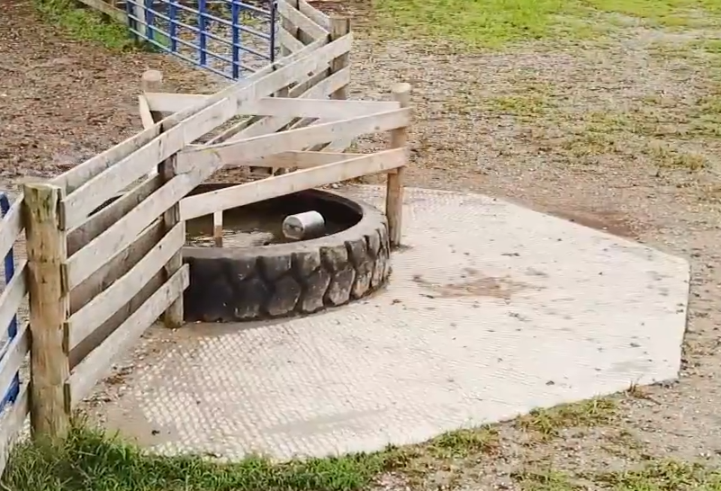 Friday Feature:  Repurposed Tire Water Troughs for Livestock