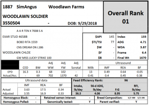 sample of catolog information