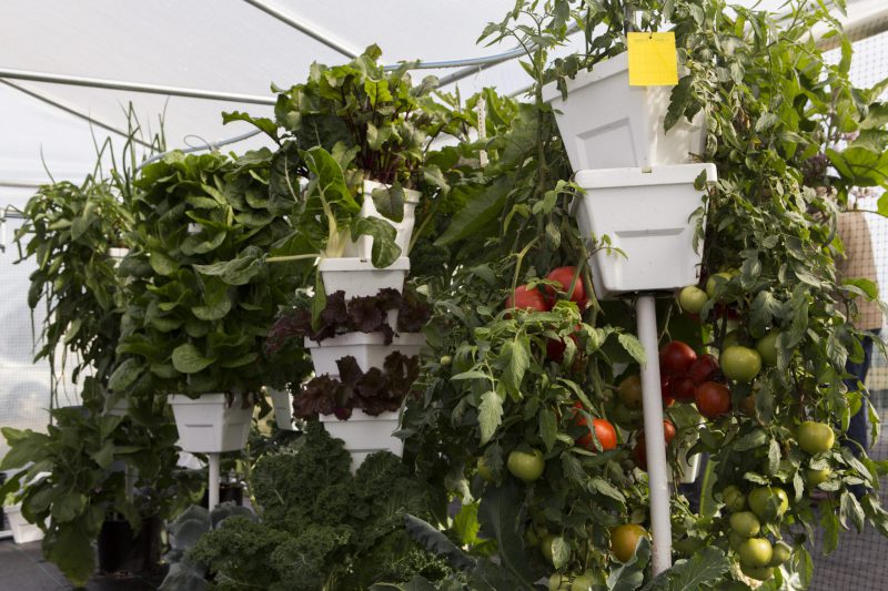 A tower hydroponic system