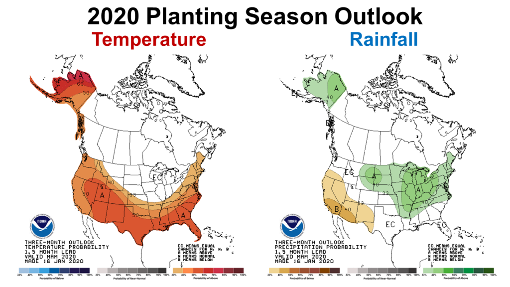 2020 Planting Season Outlook