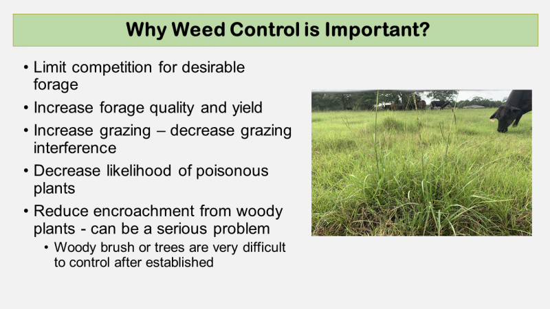Devkota Weed Control