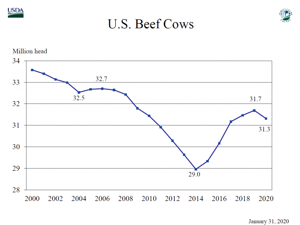 USDA Beef Inventory Chart