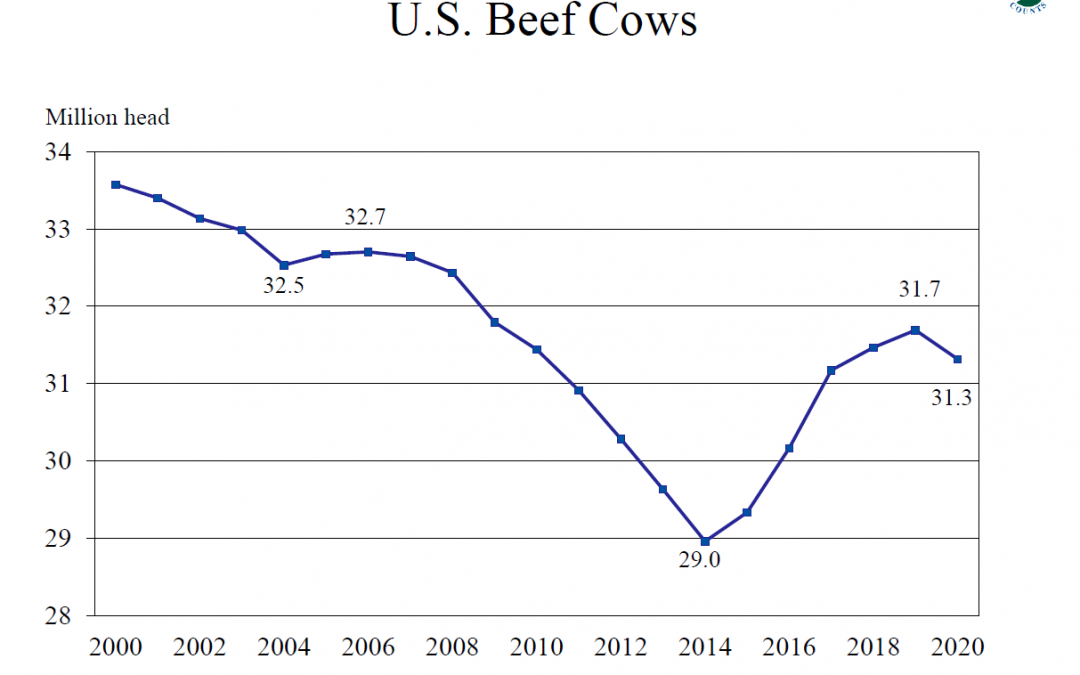 Cyclical Cattle Herd Expansion Over, but Record Beef Production Expected in 2020