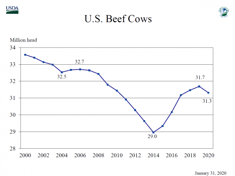 Cyclical Cattle Herd Expansion Over But Record Beef Production 