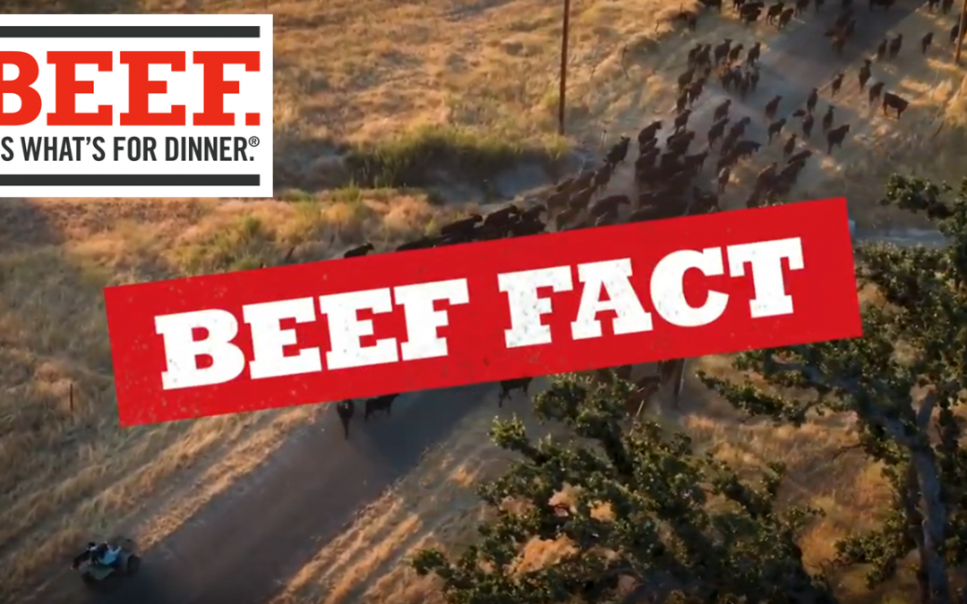 Friday Double Feature:  Real Facts About Beef
