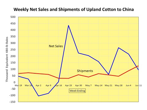 Cotton Market Commentary:  Mid-June Summary