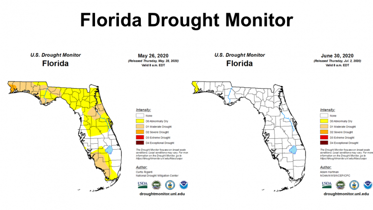 Florida June 2020 Drought Monitor comparison
