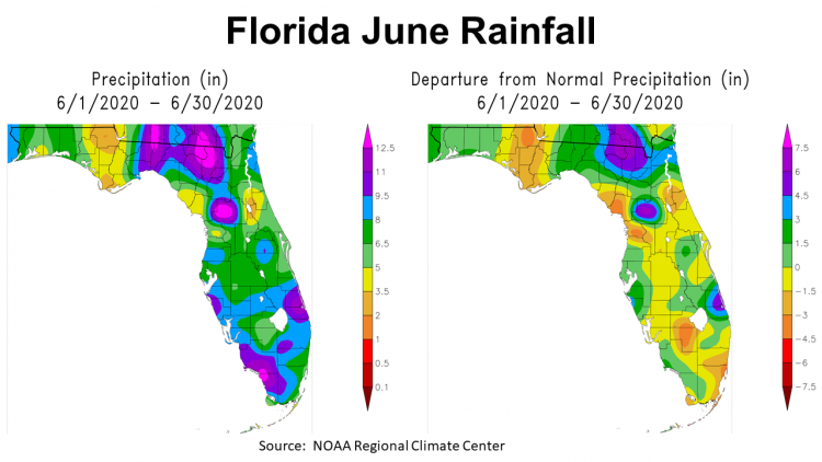 June 2020 FL Rainfall