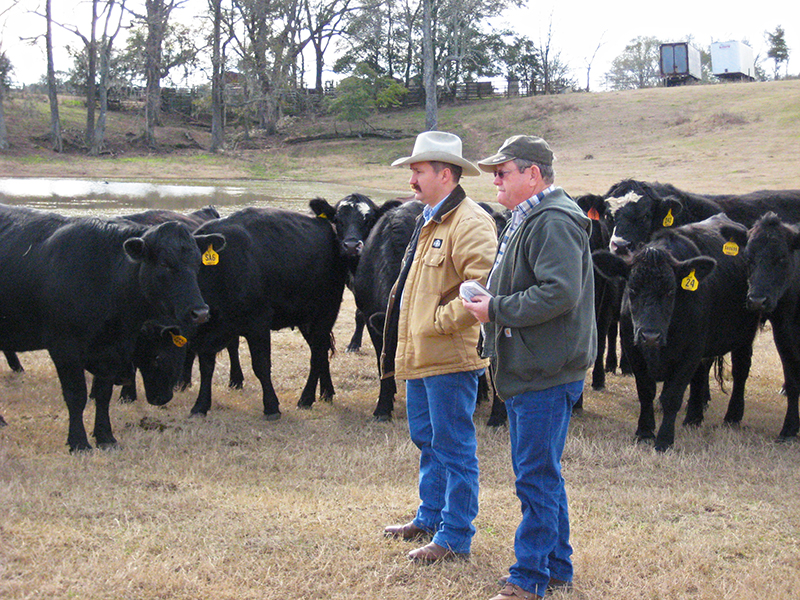 Friday Feature:  County Extension Agents Help Farmers & Ranchers Make More Informed Management Decisions