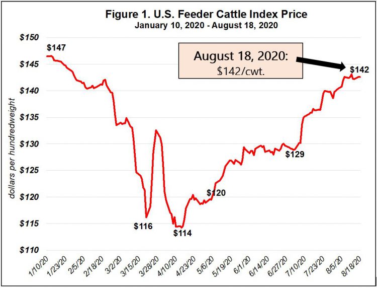 Figure 1 feeder cattle index 8-18-20