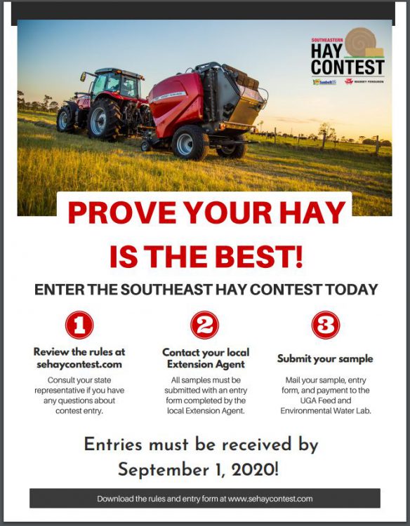 Hay contest flyer