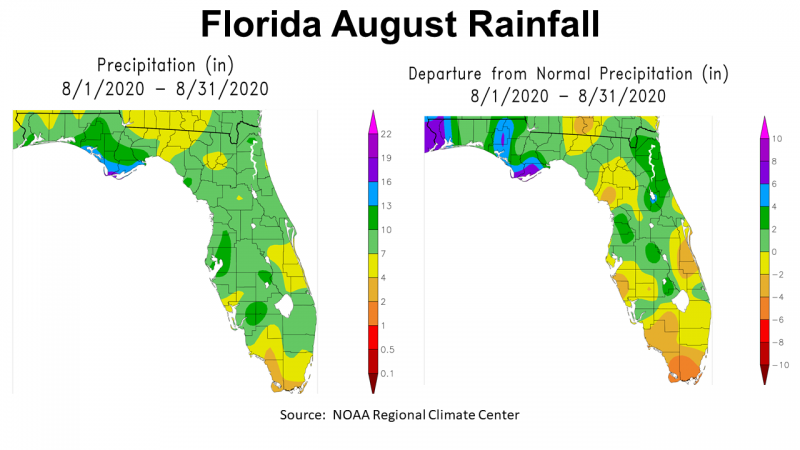 August FL Rainfall Actual vs Deptarture from Normal