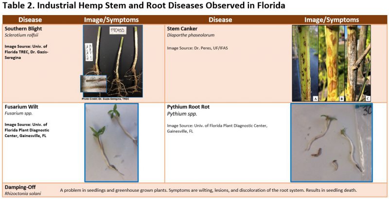 Table 2 Hemp Stem & Root Diseases