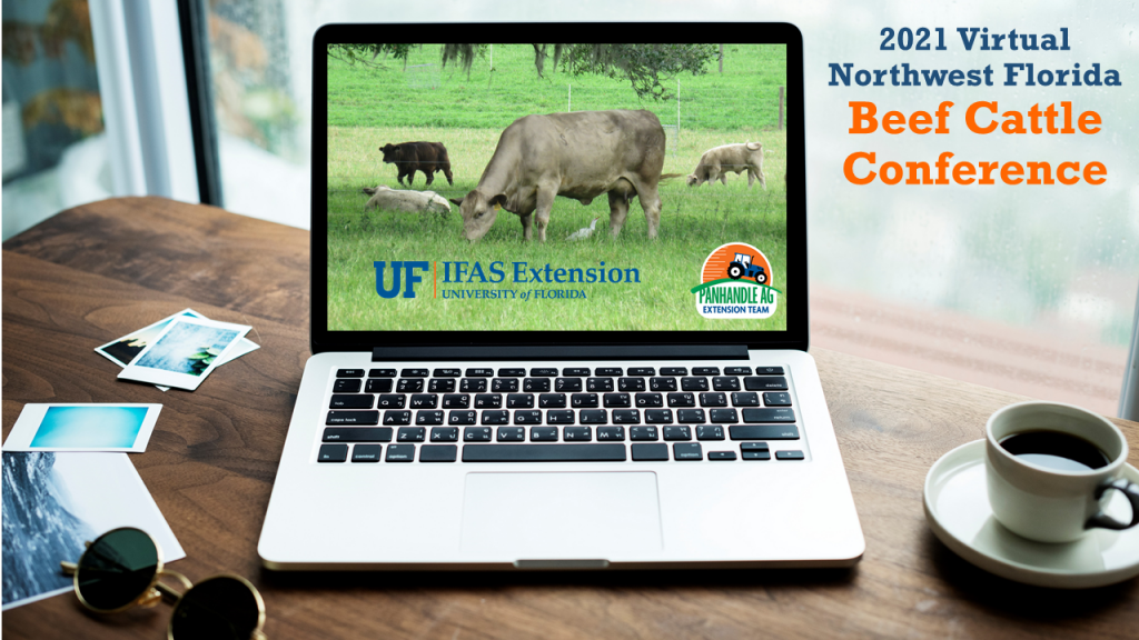 Virtual Beef Cattle Conference Resources Panhandle Agriculture