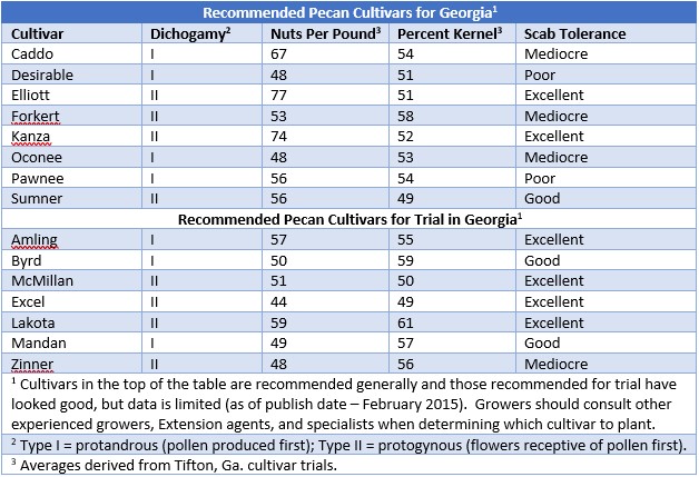 Recommended Pecan Cultivars