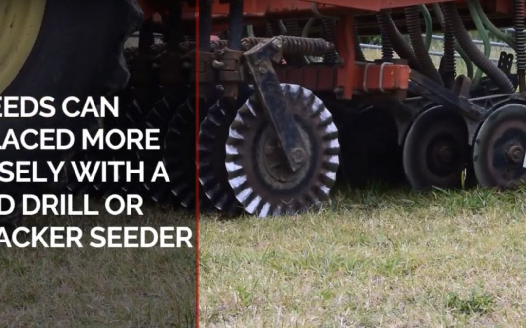 Friday Feature:  Drilling vs Broadcasting Forage Seed