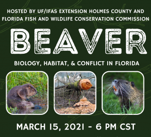 beaver webinar featured image