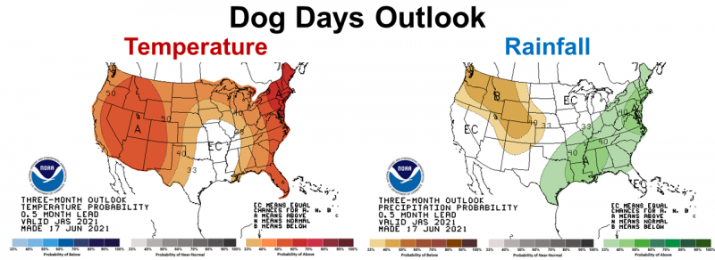 July - Sept 2021 CPC Outlook