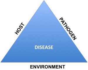 disease triangle