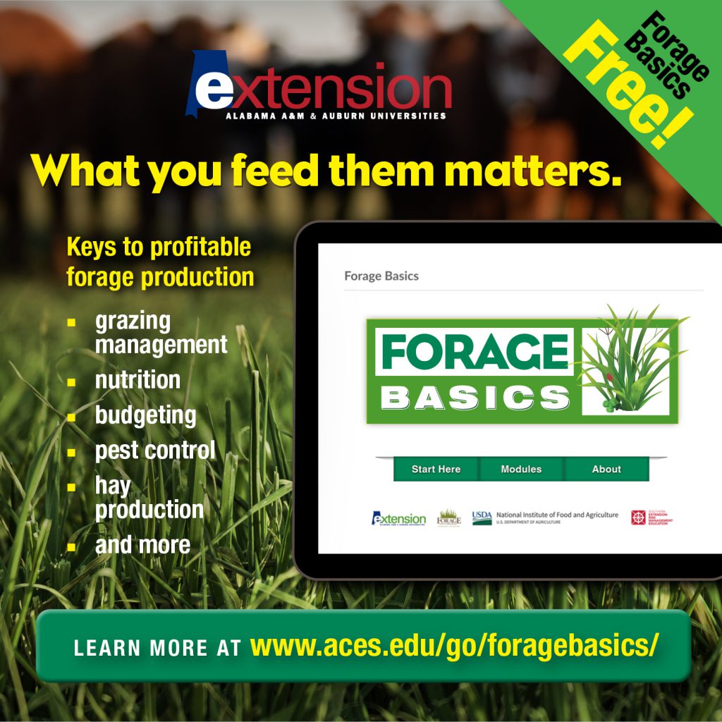 Alabama Extension’s Basic Forage Online Course Panhandle Agriculture