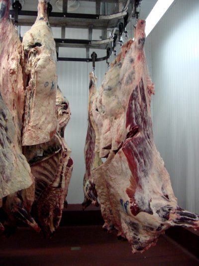 Beef-Carcasses-e1630000326835.jpg