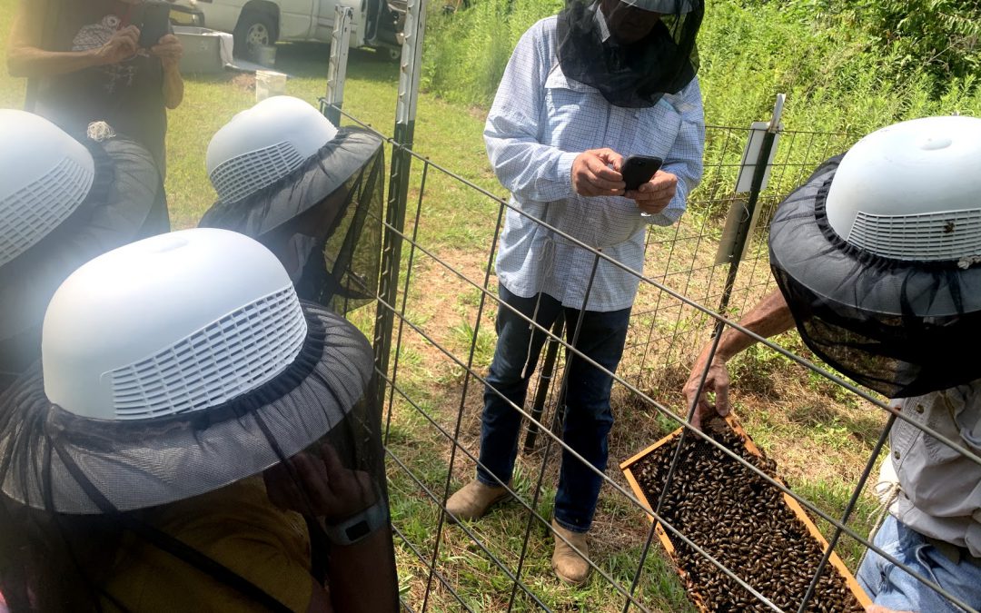 Spotlight: The Apalachee Beekeepers Association