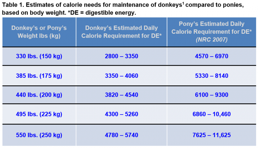 Table 1 Donkey vs Poney Requirements