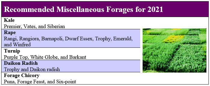 Micellaneous Forages